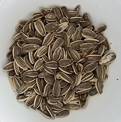 Sunflower pretreatment illustration